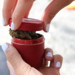 Prague Cannabis Delivery img-2744.jpg