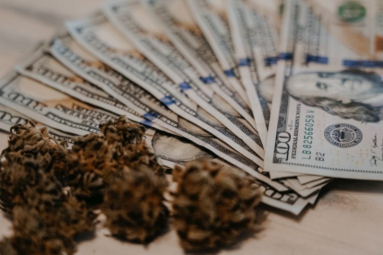 Welcome to Prague’s premier online hemp shop
