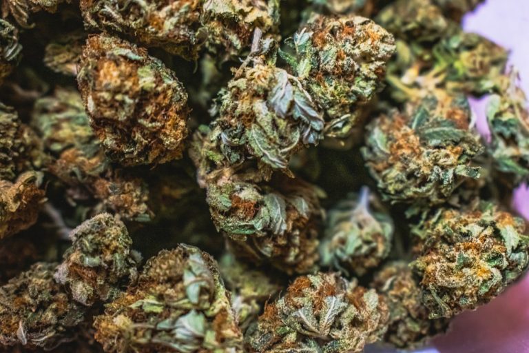 Buying Cannabis in Prague: A Guide to Legal Cannabis, Strains, and Regulations