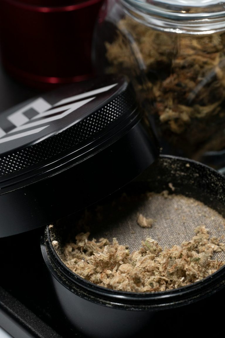 Prague Hemp Retail: Legal Framework and How to Buy Cannabis, Marijuana, Hemp, THC, and Weed
