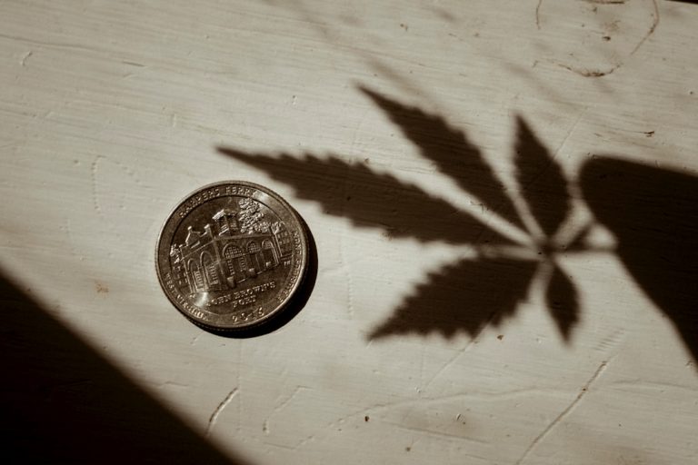 Welcome to the premier cannabis shop in the heart of the city