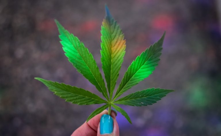 Cannabis in Prague’s Old Town: A Guide