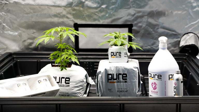 THC shop Prague