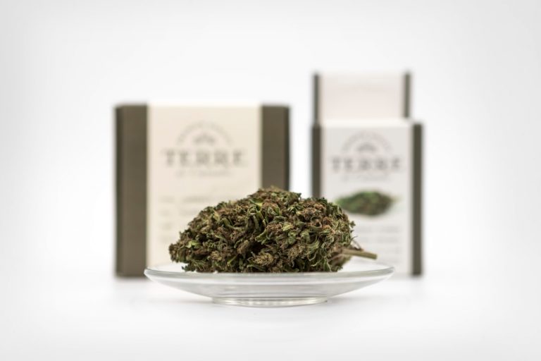 Looking for a delicious way to enjoy THC in the heart of the Czech Republic?