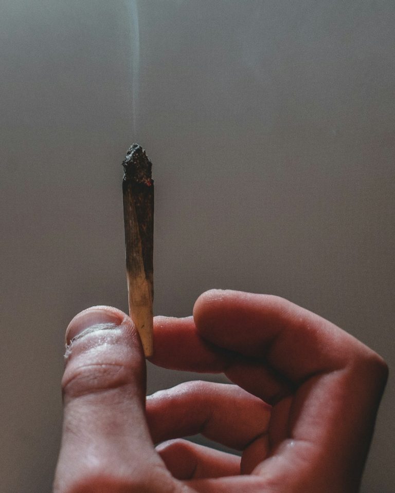 Cannabis Delivery Service Prague