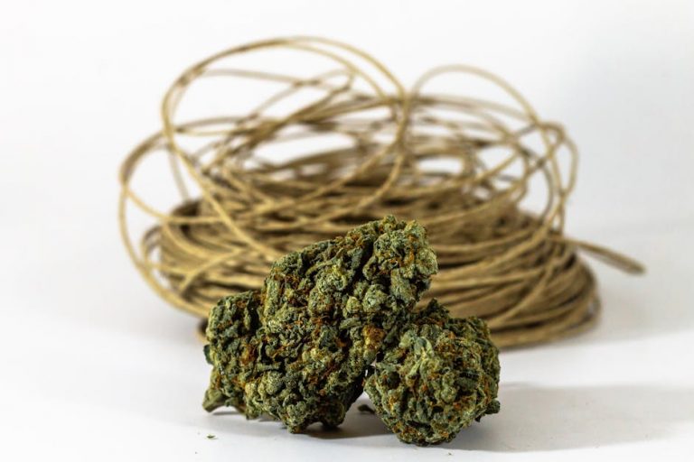 Prague’s vibrant cannabis scene has grown rapidly in recent years