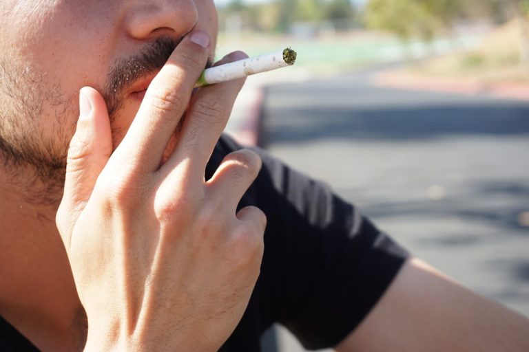 Welcome to the definitive guide for anyone looking to explore the best cannabis, marijuana, and hemp options in Prague
