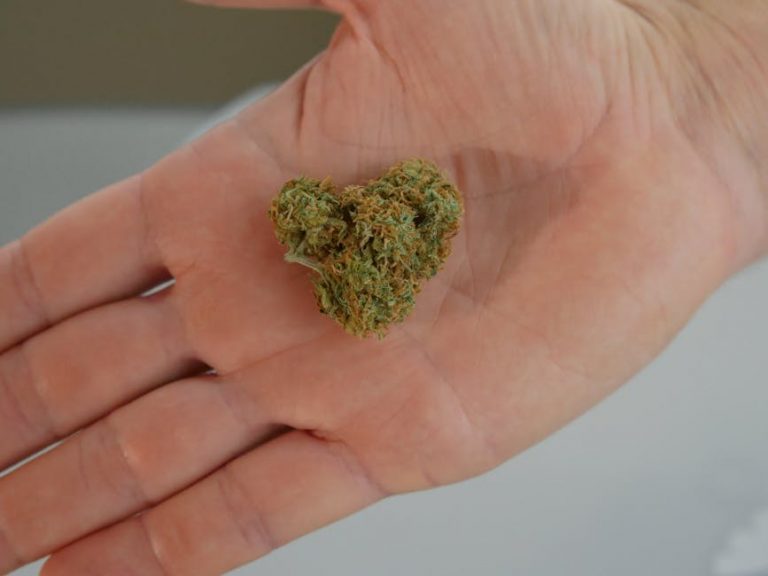 Premium Cannabis Delivery in Prague