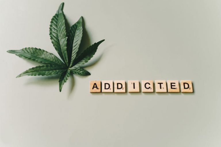 Prague, the cultural heart of the Czech Republic, is rapidly becoming a hub for the hemp industry
