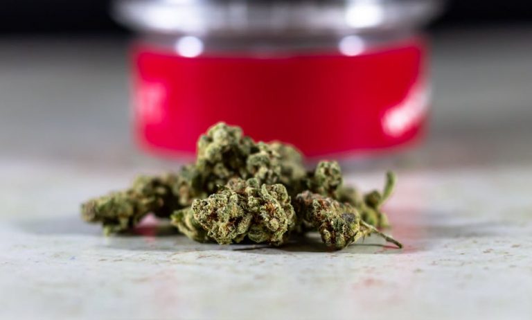 Welcome to the premier cannabis boutique in the heart of Prague’s historic New Town