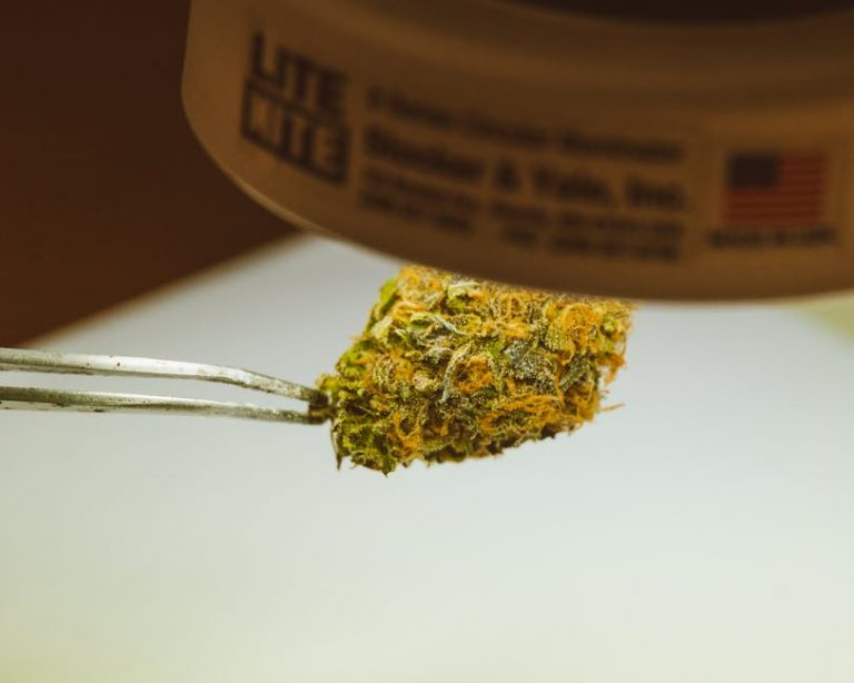 Planning a trip to the Czech Republic and curious about the local cannabis scene?