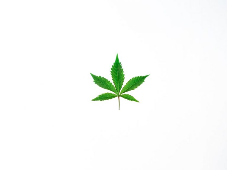 Welcome to the heart of Prague’s cannabis scene!