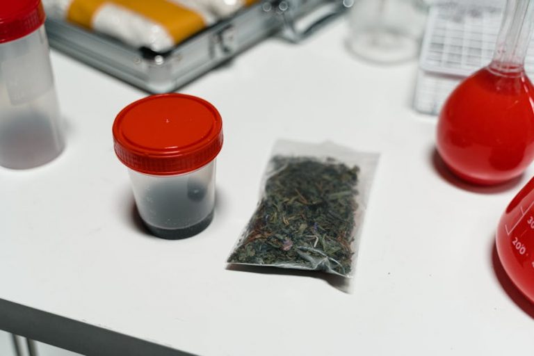 Prague THC chocolate shop