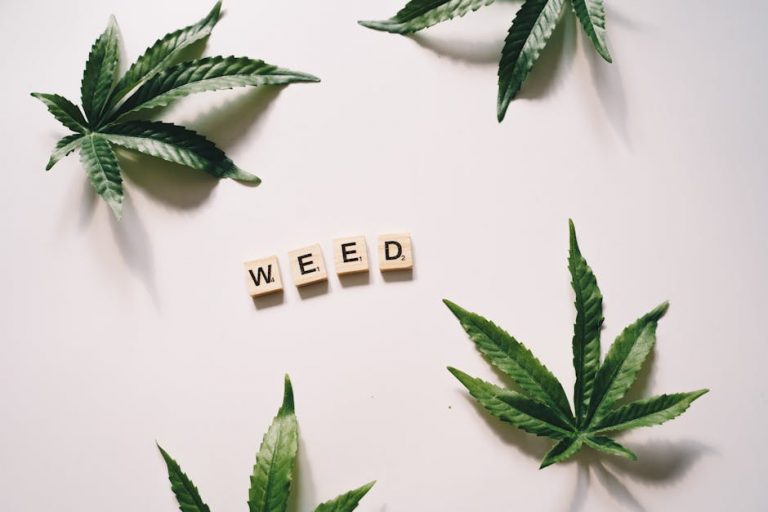 Looking for a reliable, professional, and affordable way to purchase cannabis, marijuana, hemp, THC, or weed in Prague? Our THC vape discreet delivery service brings the best of Prague cannabis straight to your doorstep, especially if you’re in the bustling New Town Prague area.