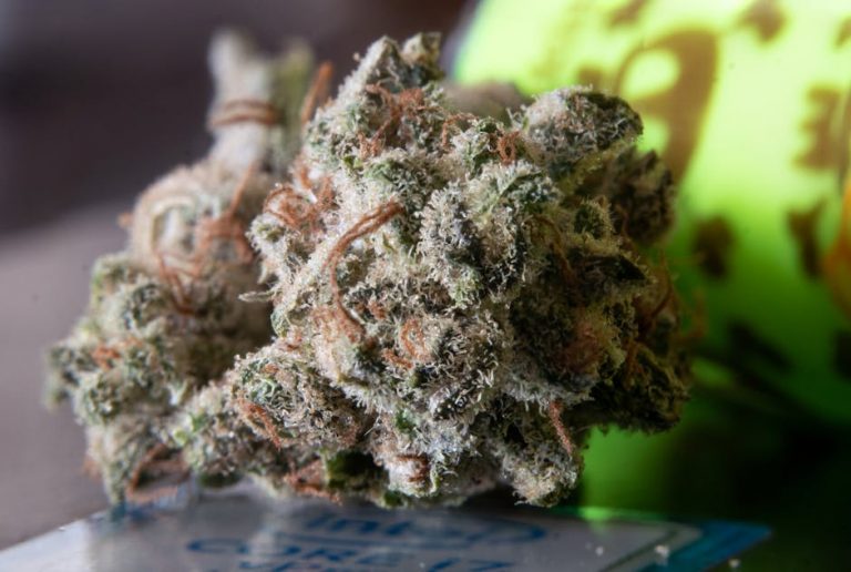 Prague’s evolving cannabis scene is now supported by a reliable, fully compliant delivery network