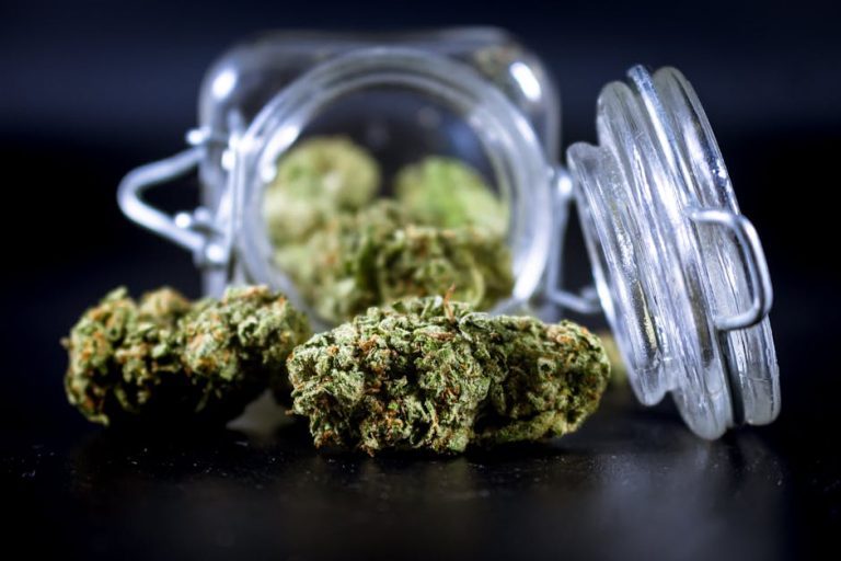 Prague’s Growing Cannabis Scene: Cali Weed Meets Local Strains