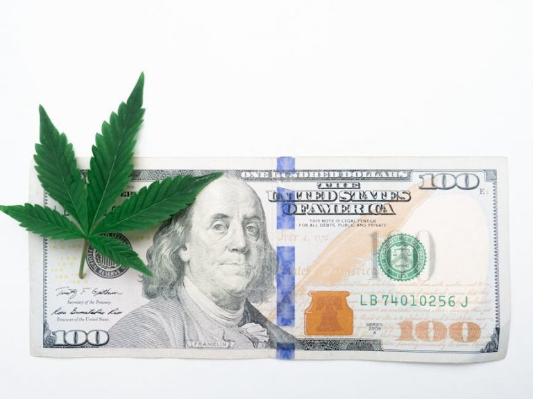 Prague is rapidly becoming a hub for cannabis enthusiasts