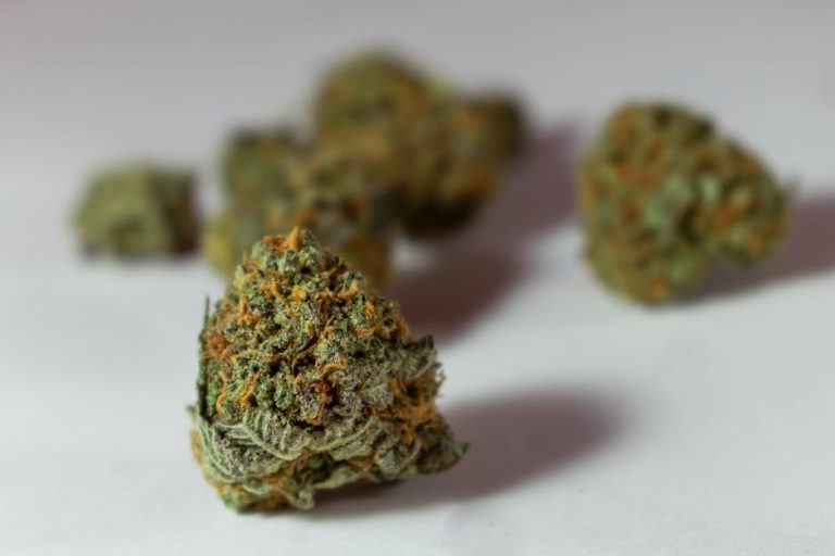 Looking for the best THC joint catalog near me in Prague