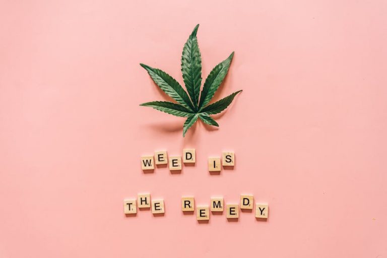 Prague’s New Town Cannabis Scene: Your Guide to Strains, Accessories, and Legalities
