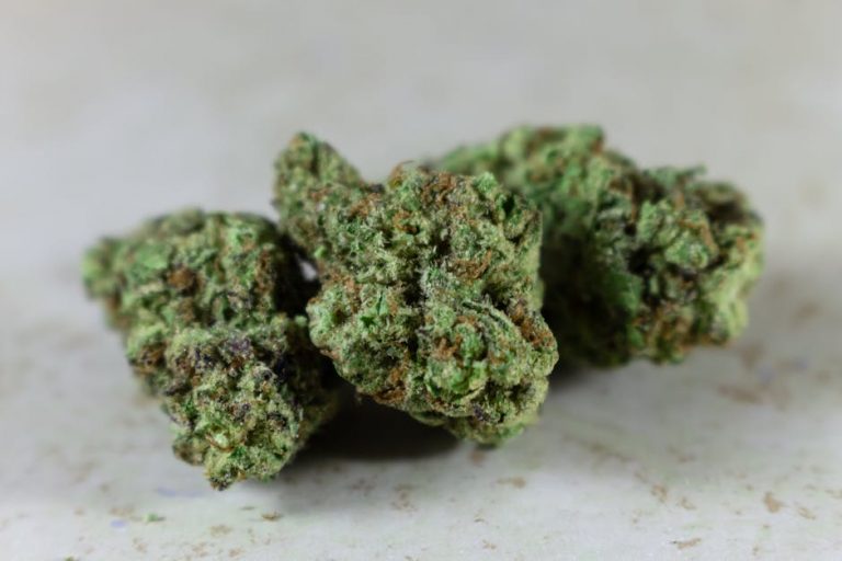 The Ultimate Guide to Cannabis in Prague